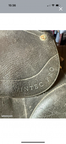 Selle Wintec dressage s&eacute;rie limit&eacute;e 