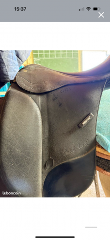 Selle Wintec dressage s&eacute;rie limit&eacute;e 