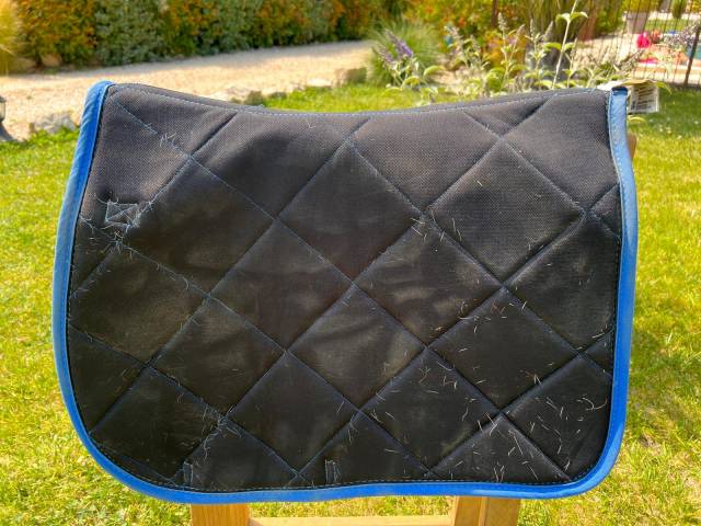 Tapis CSO Harry Horse bleu