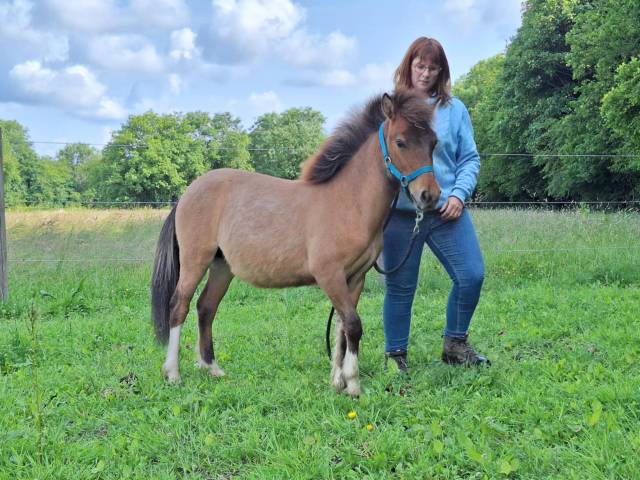 Muffin de la Chevr’horse´Tine