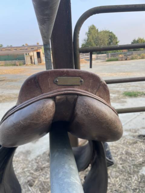 Selle équitation 