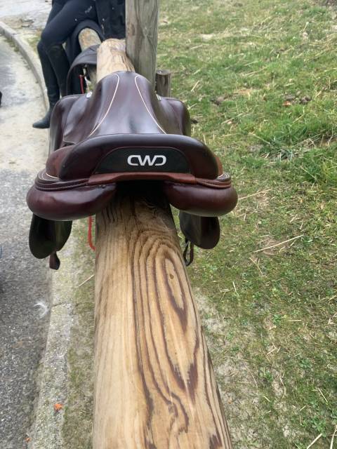 Selle cwd mademoiselle 2gs 