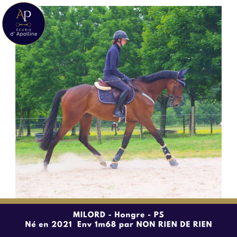 4 ans 1m68 mental en or