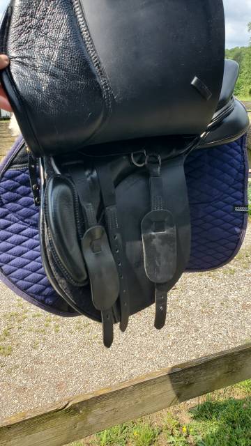 Selle mixte Kent Masters cob