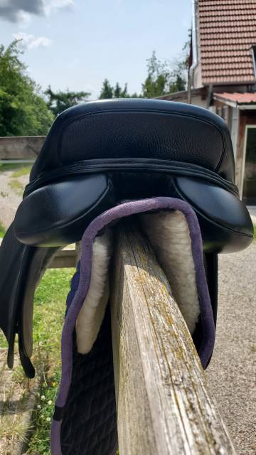 Selle mixte Kent Masters cob