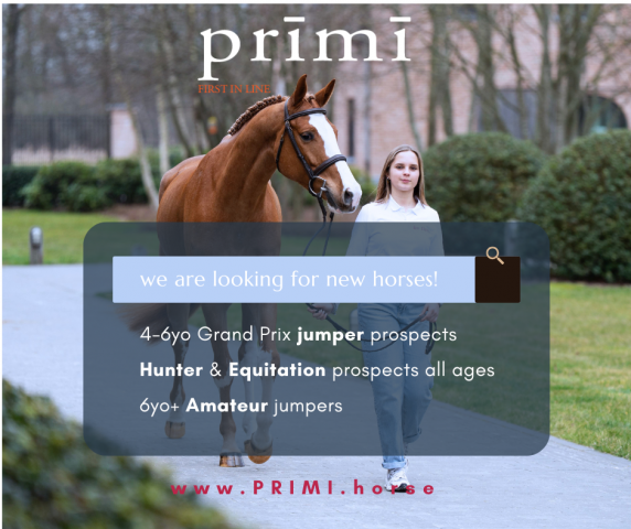 Searching for  of Horses for Our Next Sale!