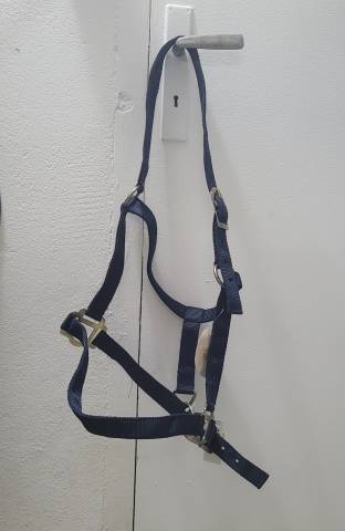 Licol Cheval Marine