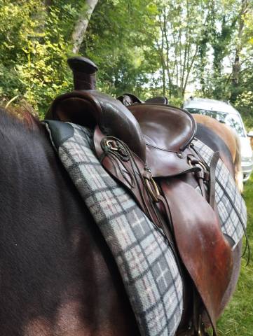 Selle de randonnée cathare type mac lellan 