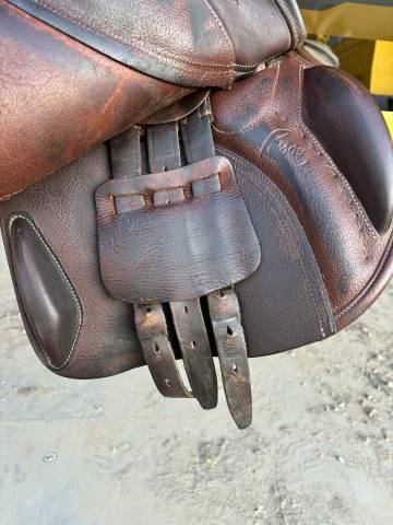 Selle Pessoa - Gen-X Elite