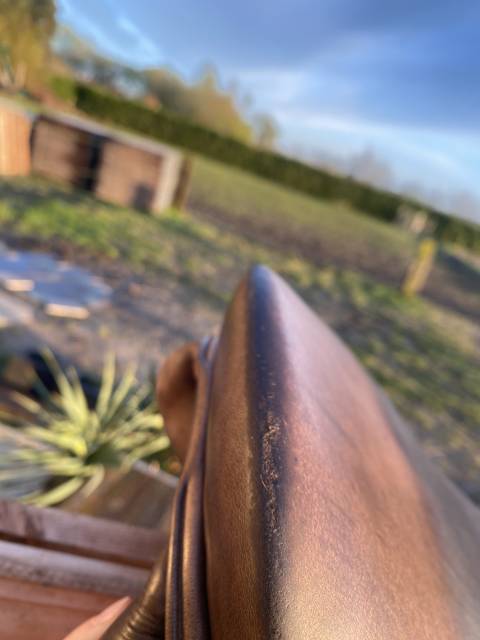 Selle Monoquartier 17,5