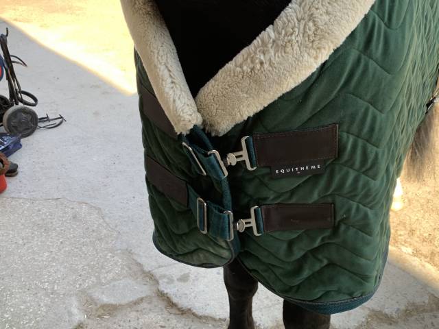 couverture d'écurie etat neuf 155 cm