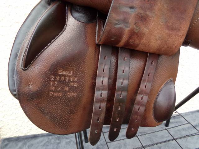 Selle Forestier Seoul 17'