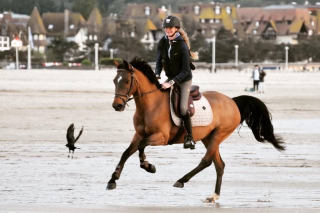 SUPER PONETTE DE SPORT CSO/DRESSAGE