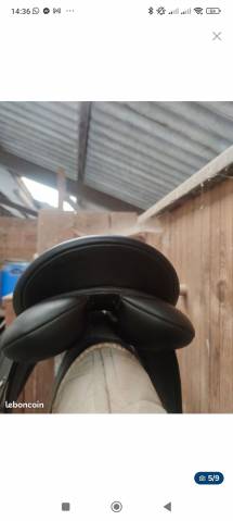 Selle wintec dressage 250