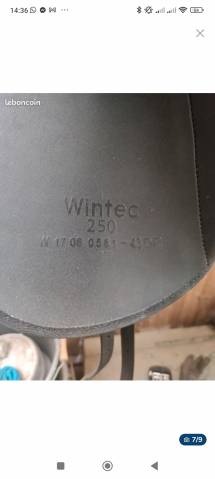 Selle wintec dressage 250