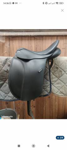 Selle wintec dressage 250