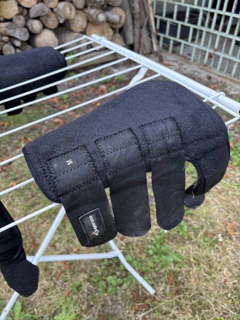 Gu&ecirc;tres cheval compl&egrave;tes ant&eacute;rieurs 