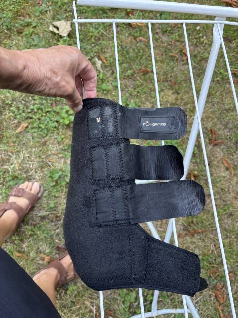 Gu&ecirc;tres cheval compl&egrave;tes ant&eacute;rieurs 