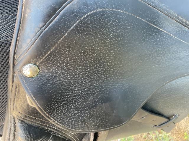 Selle mixte Forestier