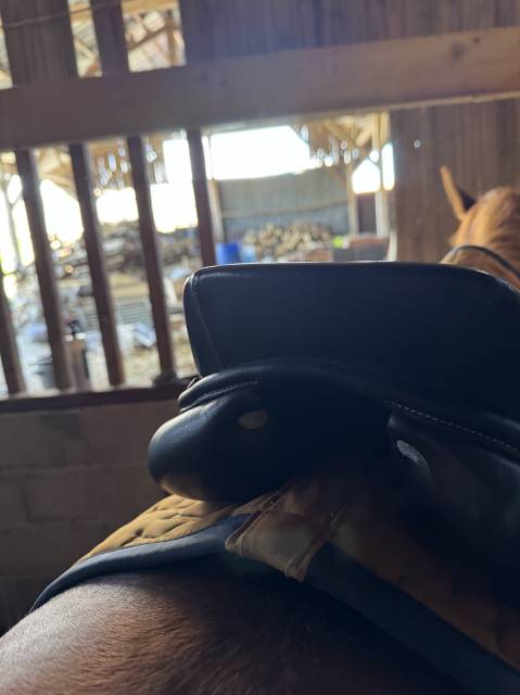 Vend selle privilège équitation modèle Lyon 