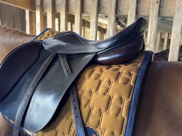 Vend selle privilège équitation modèle Lyon 