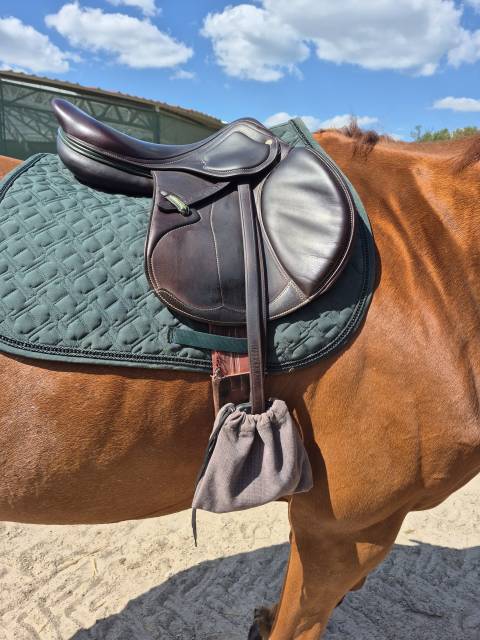 Selle Amérigo 2023 + accessoires haut de gamme offerts 