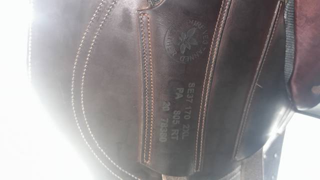 Selle aulion
