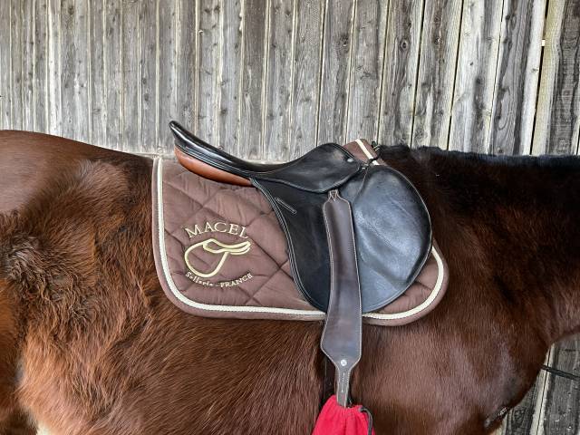 Selle 18 pouces monoquartier