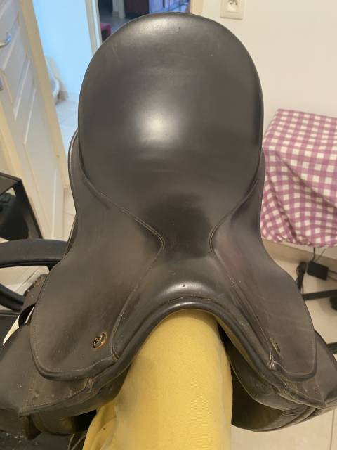 SELLE DRESSAGE CARLOS PINTO