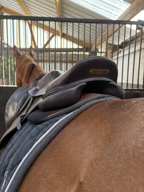 Selle Forestier Séoul 17,5 à vendre