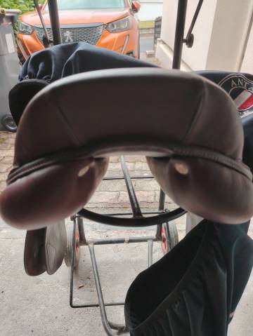 Selle Antares Connexion 2022