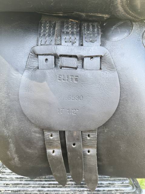 Selle Terry’s Élite 17,5