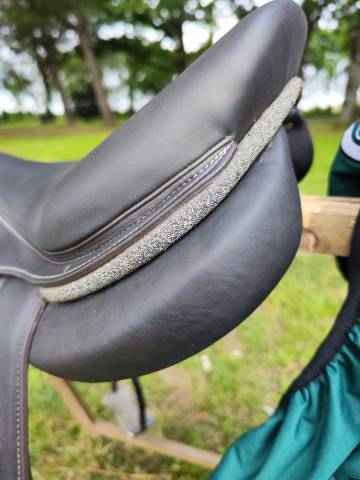 Selle Forestier Seoul 