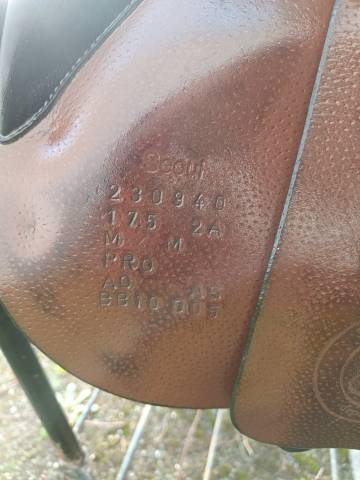 Selle Forestier Séoul 