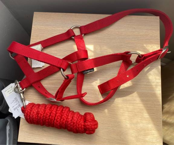 Licol+longe taille cheval