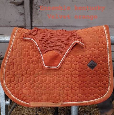 Ensemble kentucky 