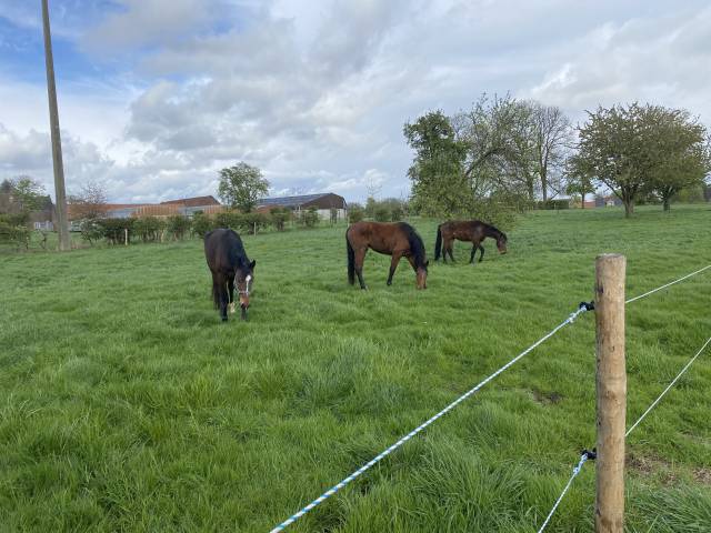 Pension prairie 4350 Remicourt 