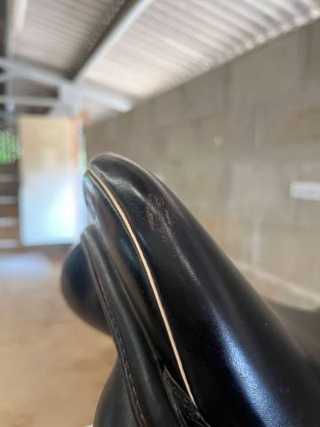 Selle Prestige Golden Star