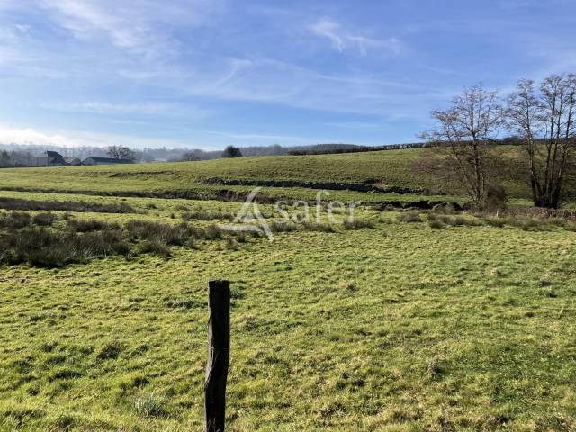Recherche investisseur - 78 ha - Bourgogne