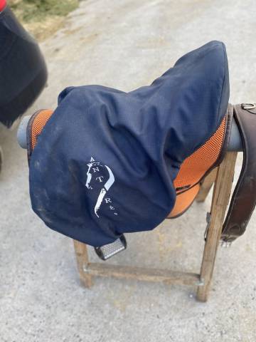 Selle obstacle Antares 