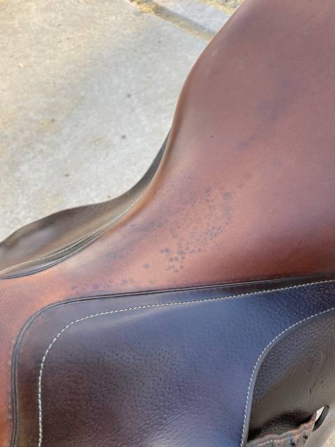 Selle obstacle Antares 