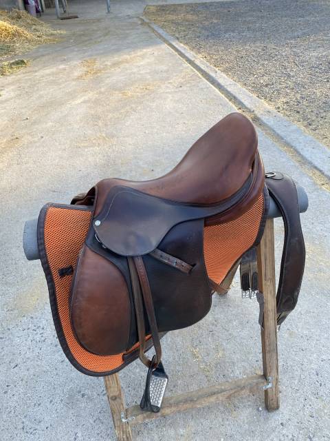 Selle obstacle Antares 