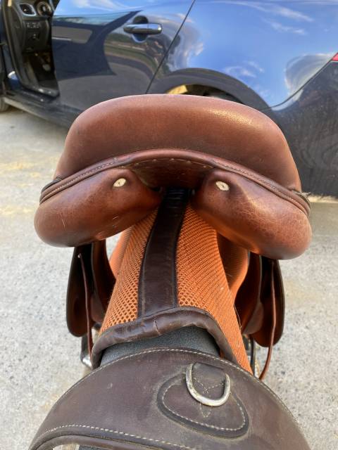 Selle obstacle Antares 