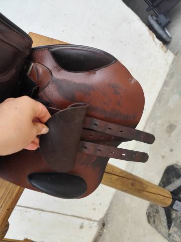 Selle prestige Meredith 17/17'5