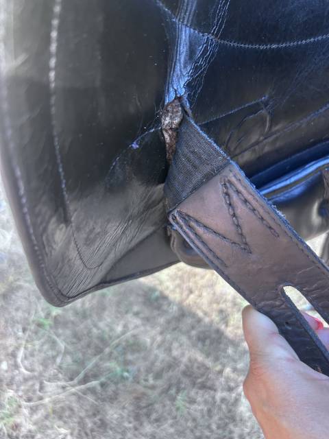 Selle de dressage Éric Thomas Taille 17,5