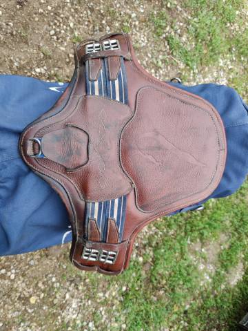 Selle Antares Monoquartier