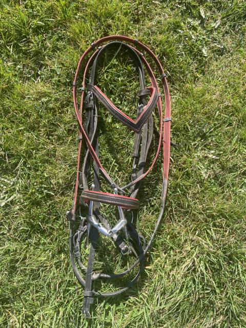 Selle mixte - obstacles 