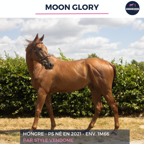 MOON GLORY - PS - 4 ANS