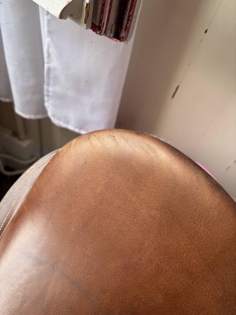 Selle mixte &Eacute;ric Thomas 17&acute;