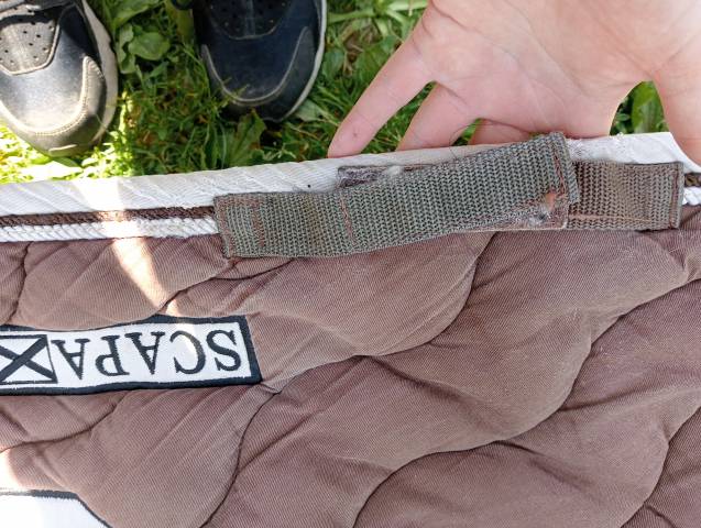 Tapis dressage scapa sport 